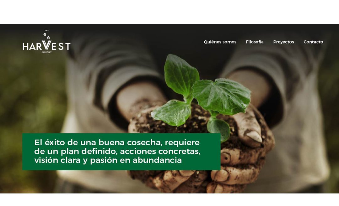 Construimos la web The Harvest Consultancy, arquitectos humanos con carácter 100% internacional