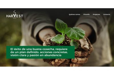 Construimos la web The Harvest Consultancy, arquitectos humanos con carácter 100% internacional