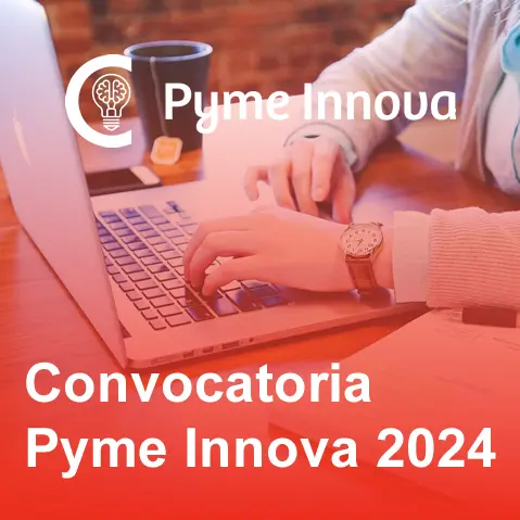 Ayudas Digitalización - Convocatoria Pyme Innova 2024